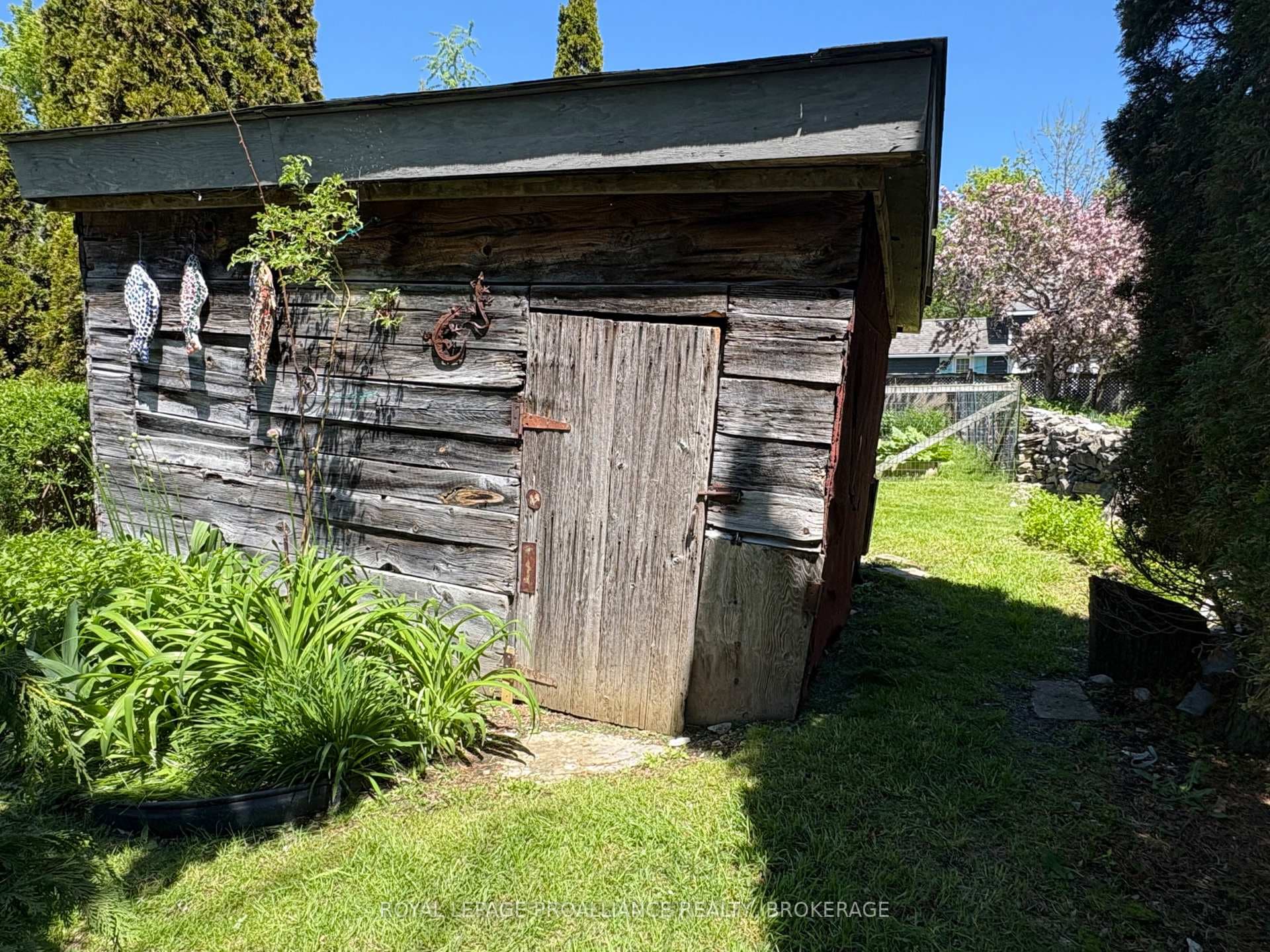 Artist's Shed