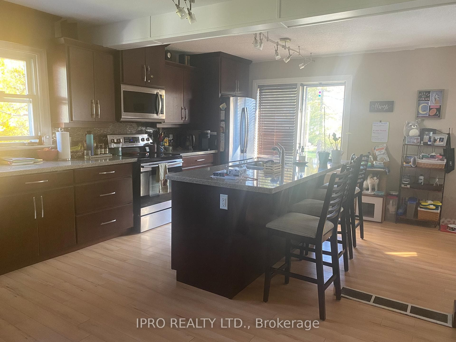 14 Lorne Street Unit Upper photo 5