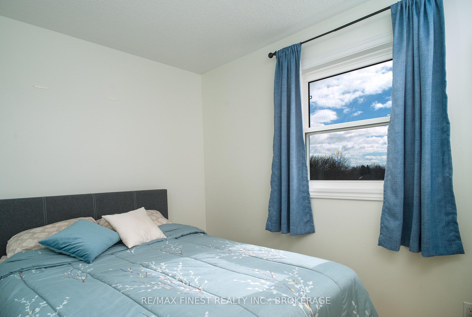 23 Ainsley Place photo 14
