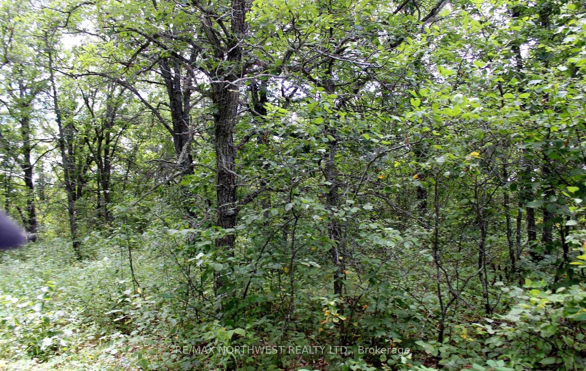 220 MORRISON RD photo 17