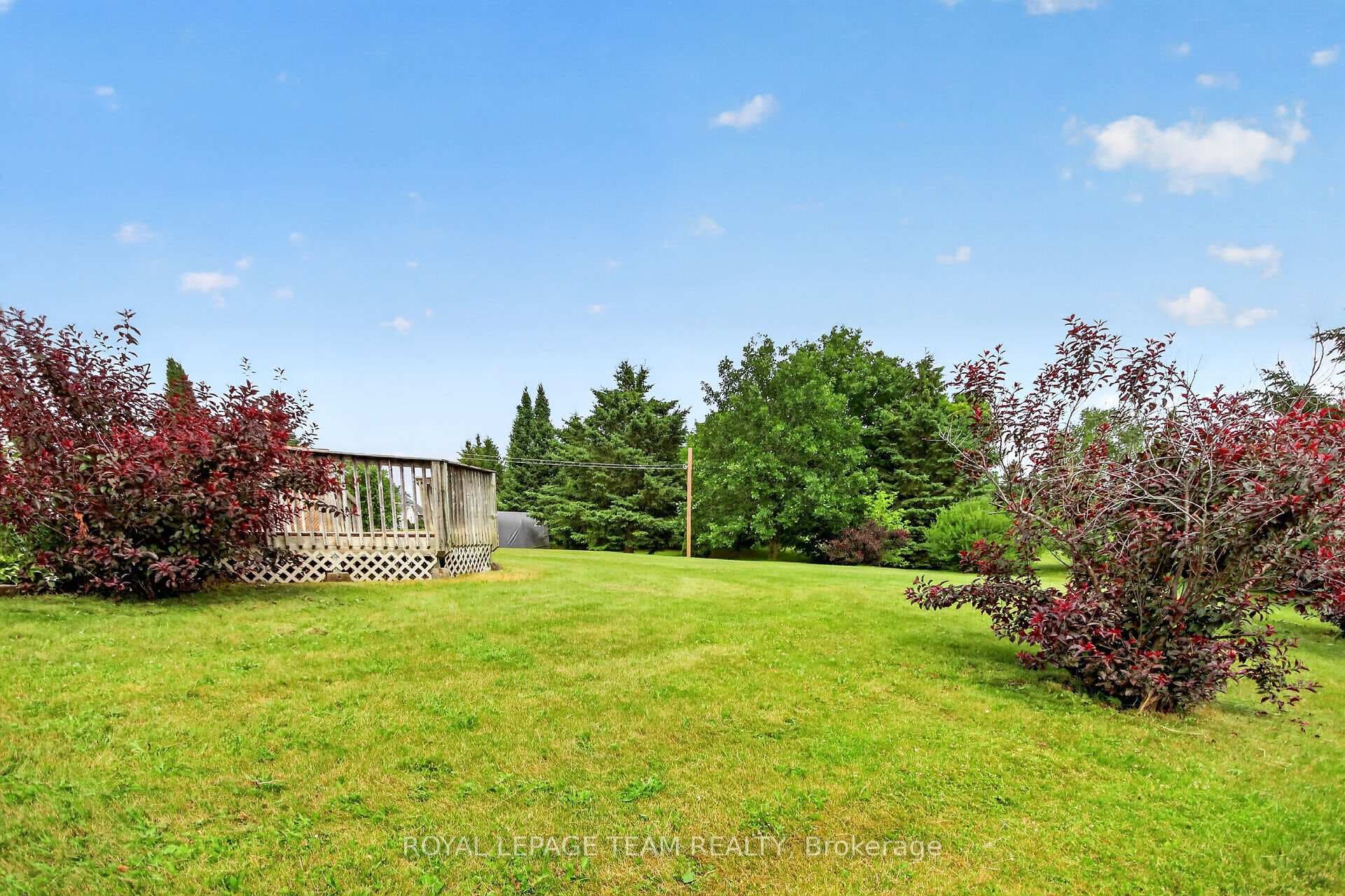 34 Jenna Drive photo 26