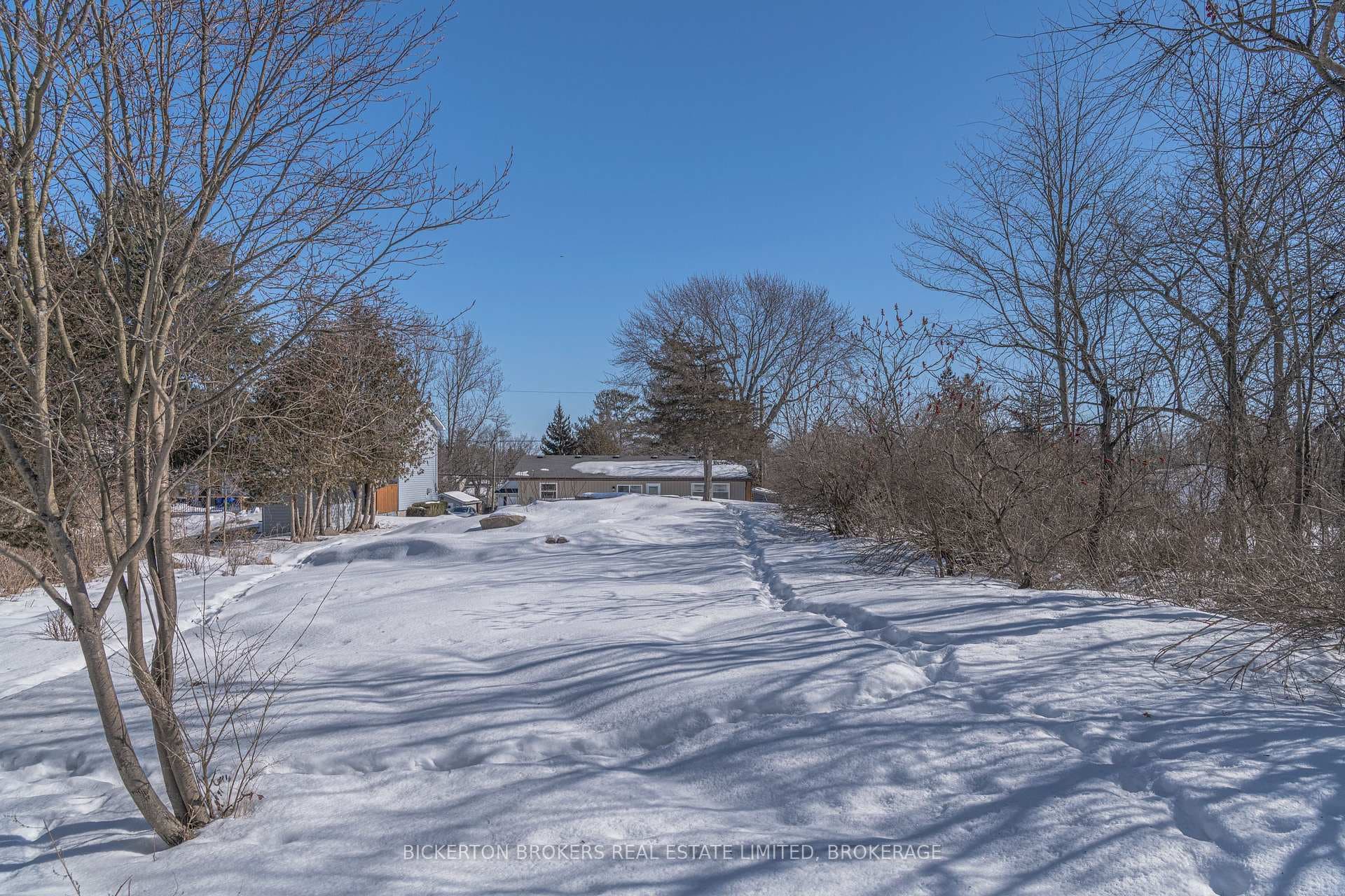110 Birch Street photo 5