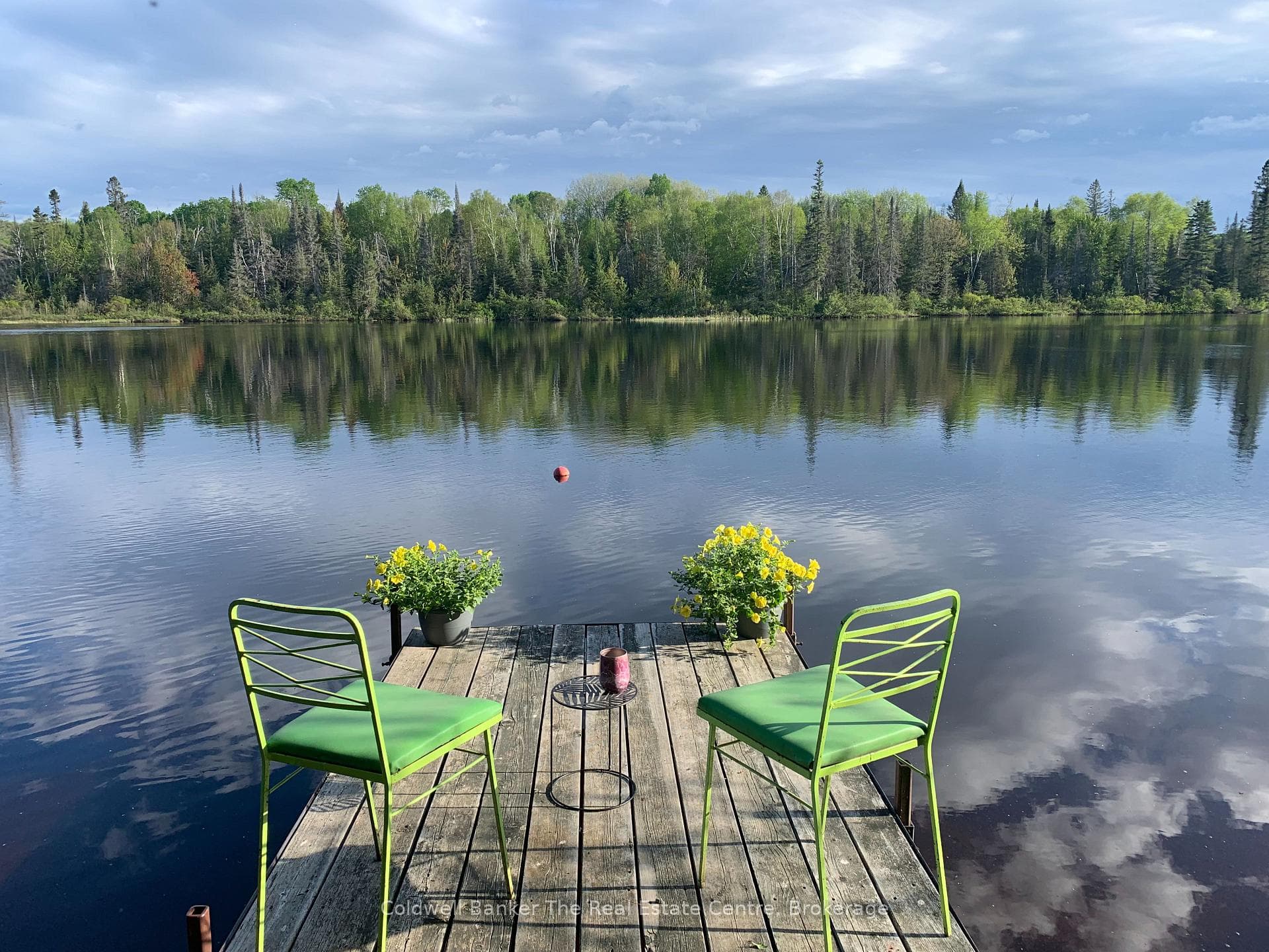 Summer on the dock.