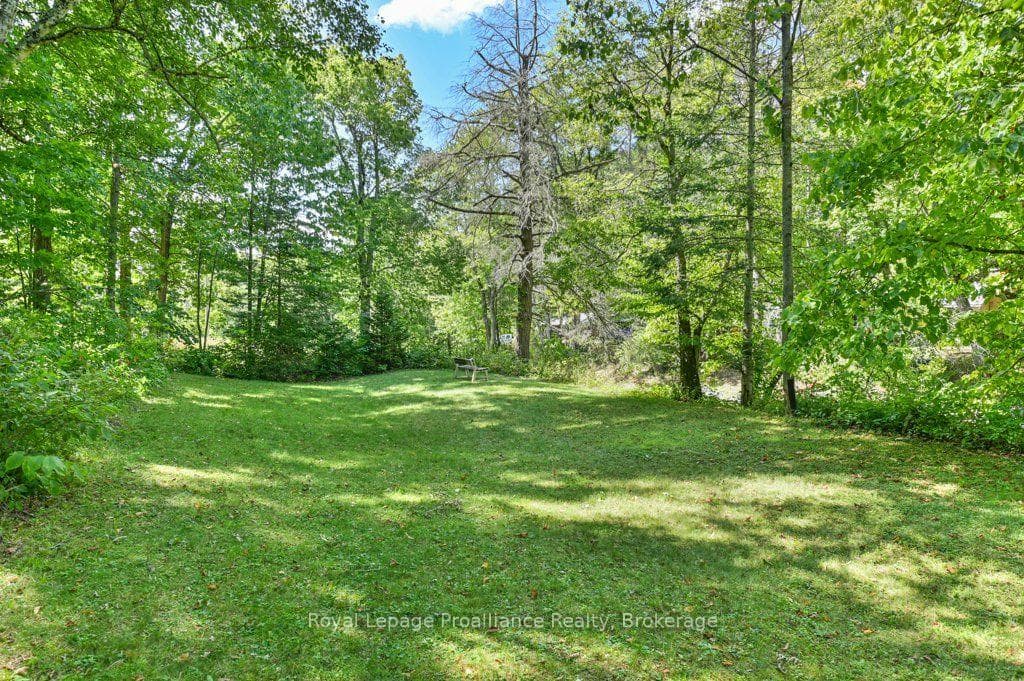 174 Cottage Lane photo 34
