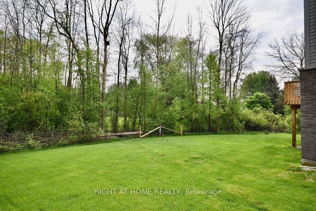 33 Emerald Street photo 39