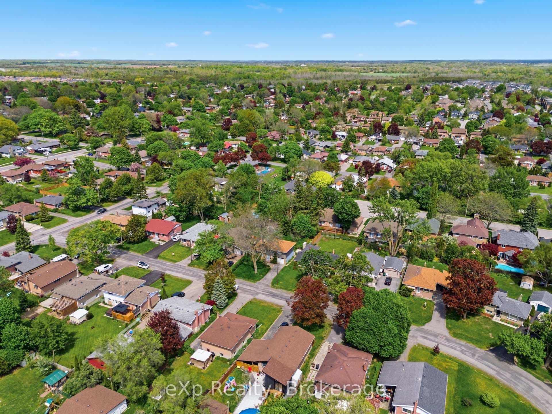 19 Alfred Drive photo 26