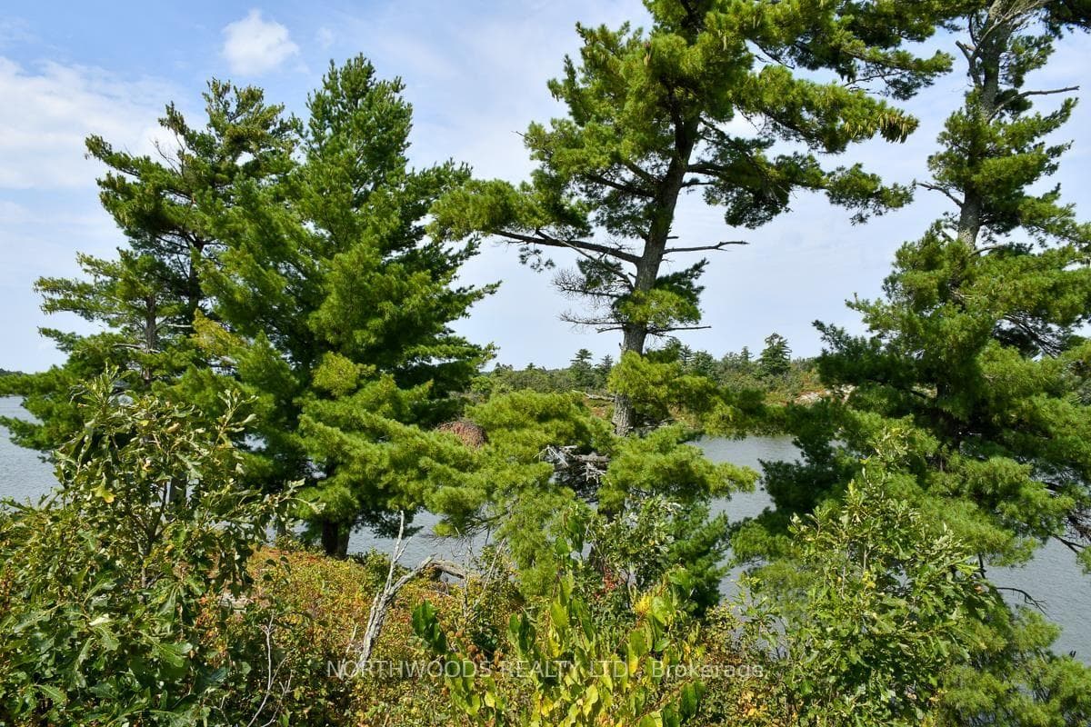Sabaskong Bay Island G2217 photo 43