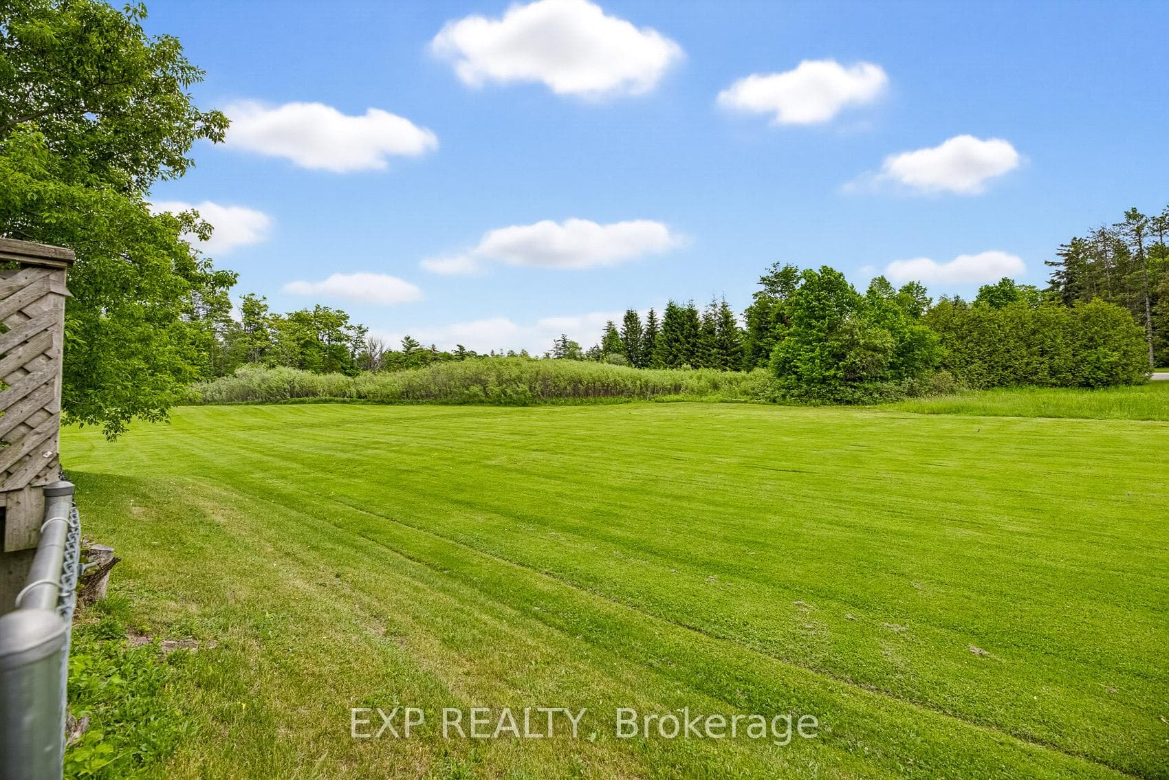 Beautiful greenery. No neighbours behind you.