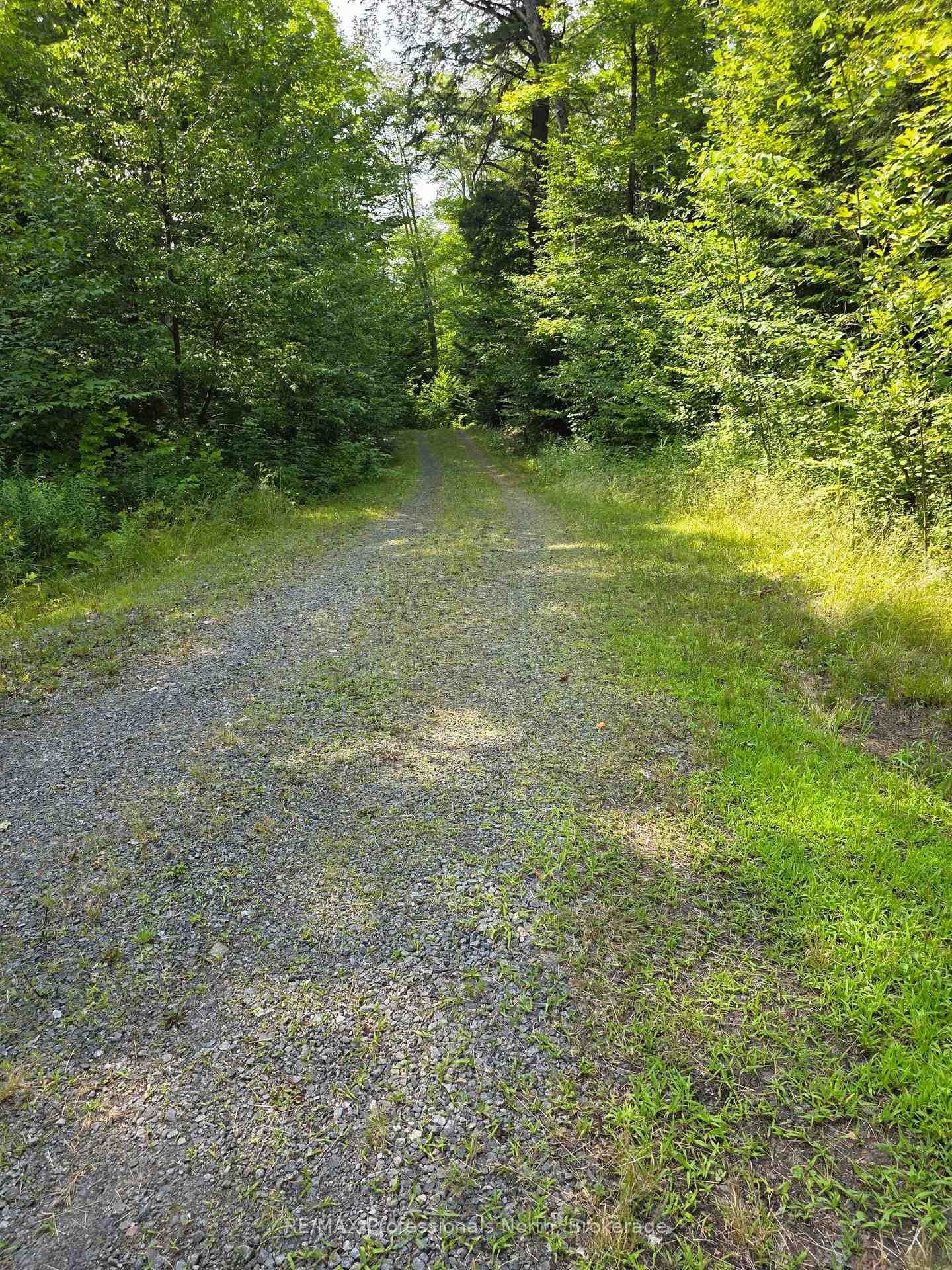 208 North Bay Lake Road photo 28