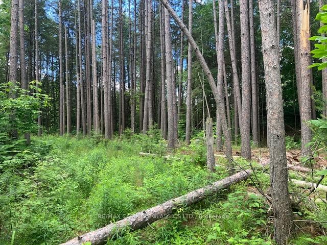 6732 County Road 620 N/A photo 16