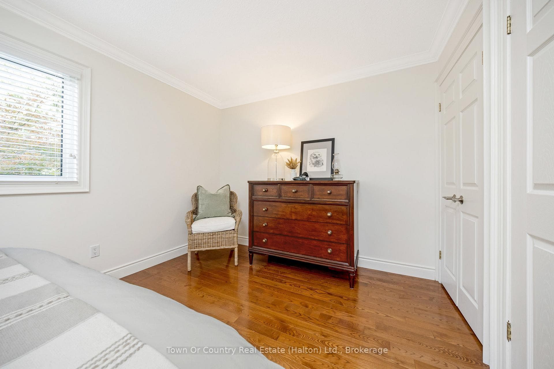 491 White Drive photo 22