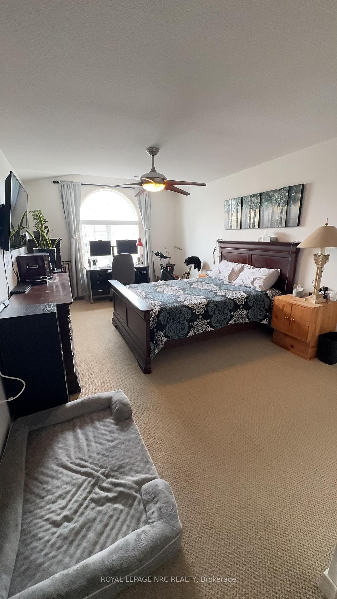 63 Jackson Court photo 11