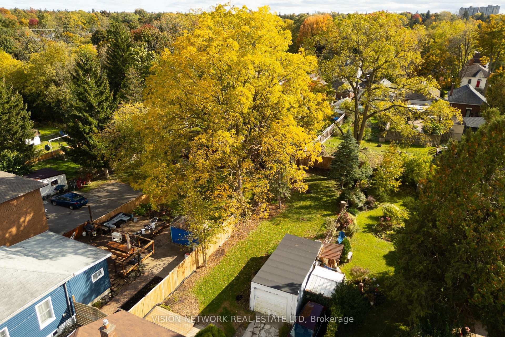 81 Briscoe Street photo 23