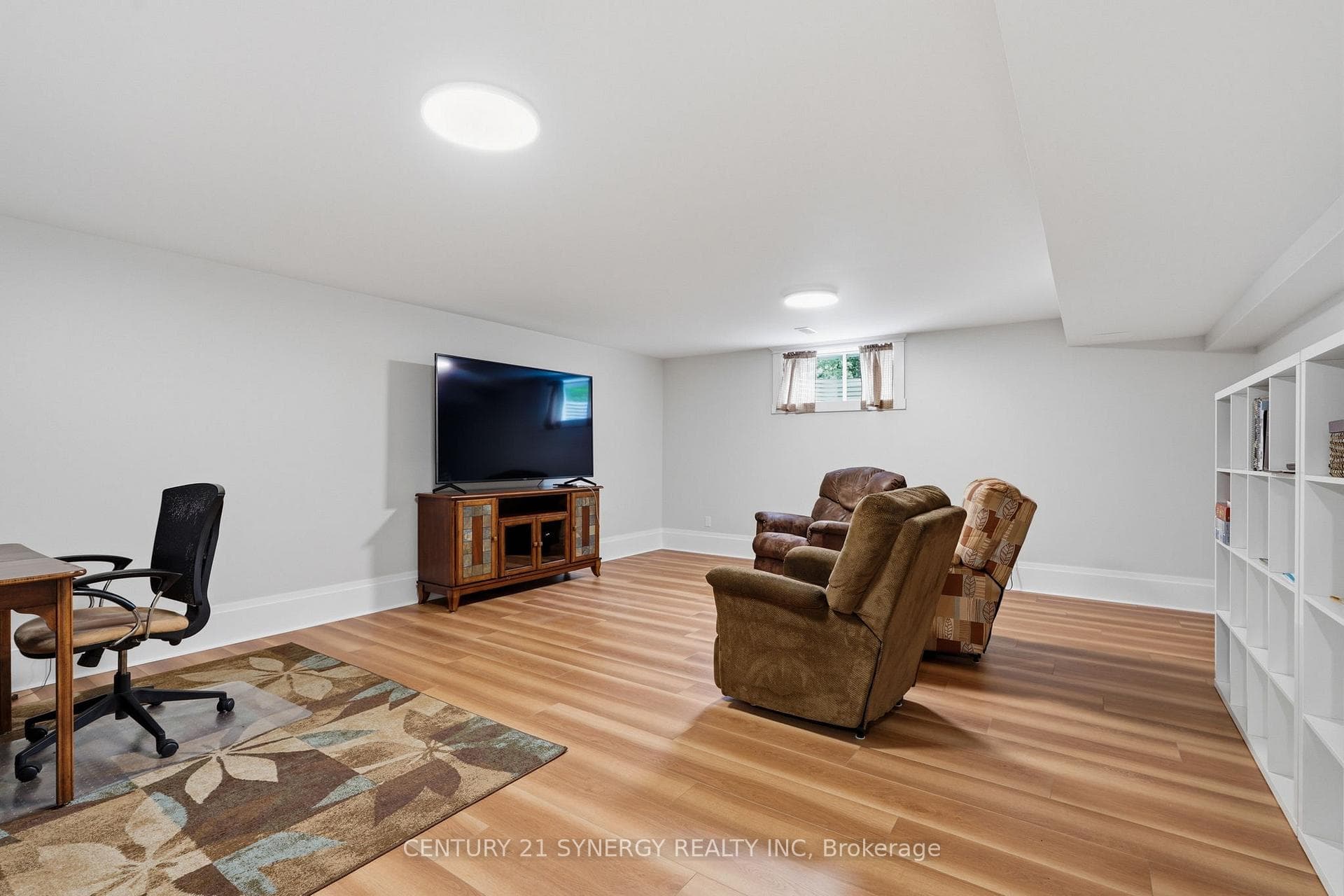 Basement Recreation Room