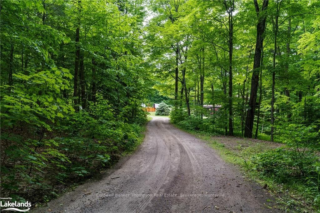1761 PICKEREL AND JACK LAKE Road photo 41