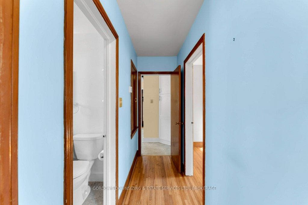 19 Cameron Street photo 25