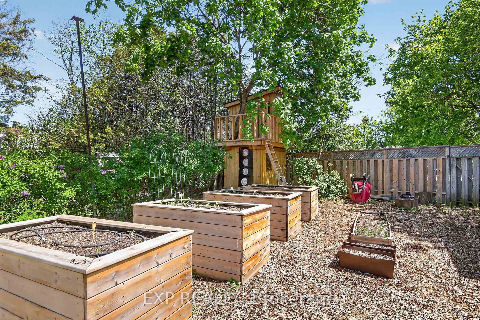 back yard ~ garden beds