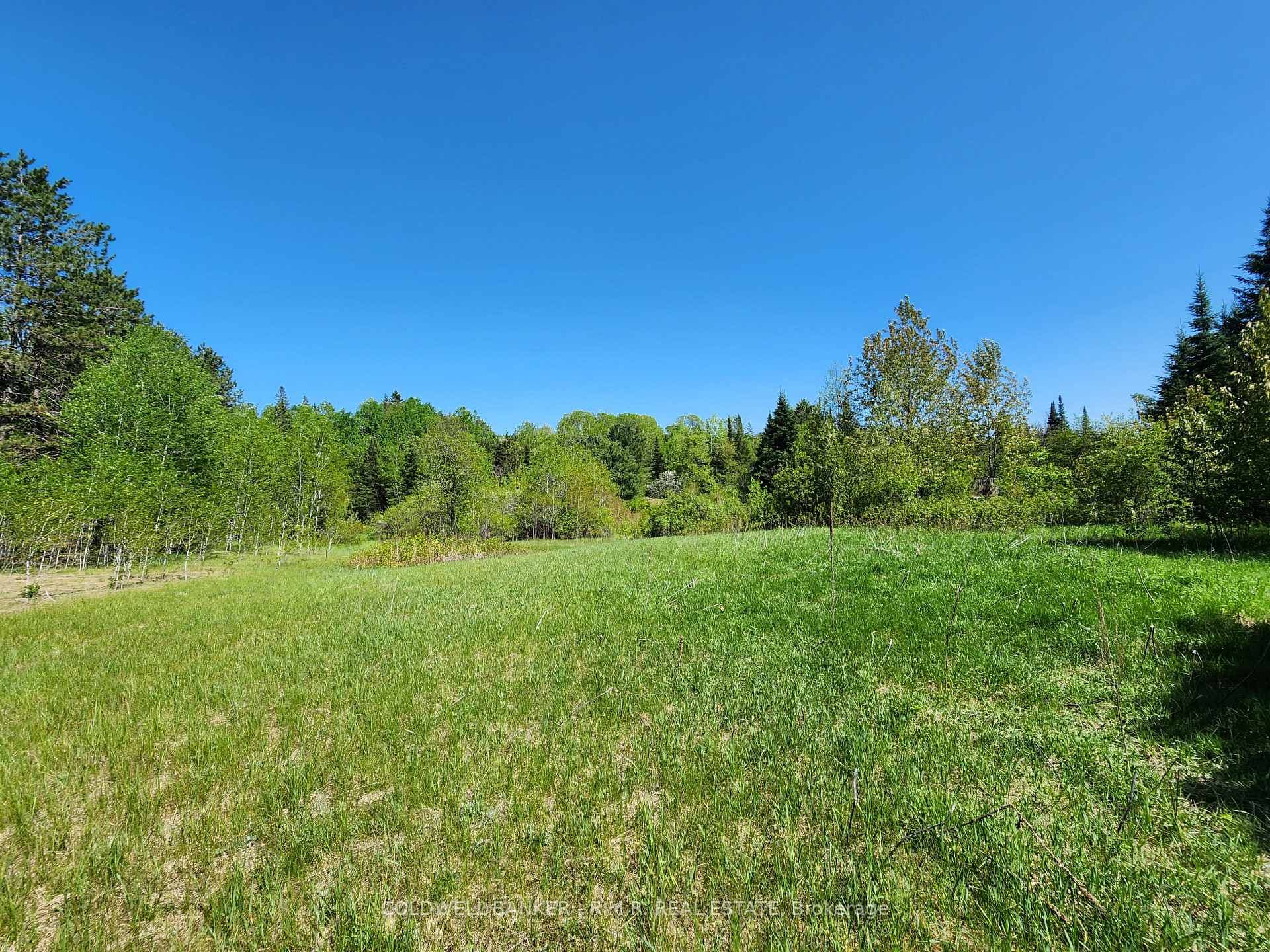 1274 Holland Lake Road photo 21