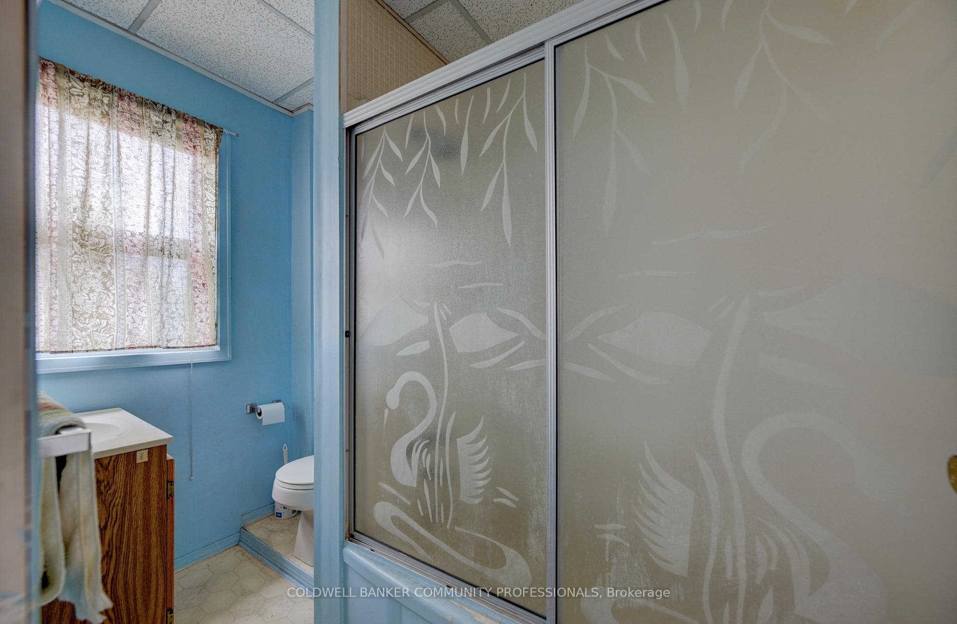 13 Primrose Avenue photo 21