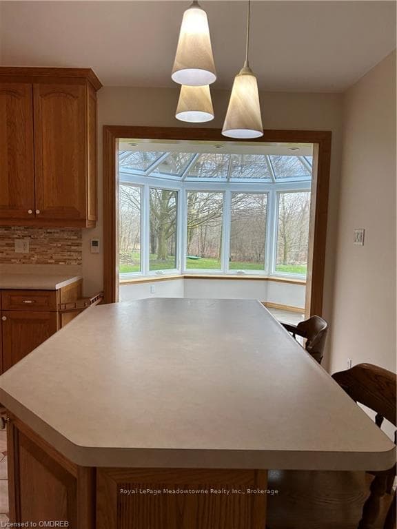 14255 TRAFALGAR Road photo 20