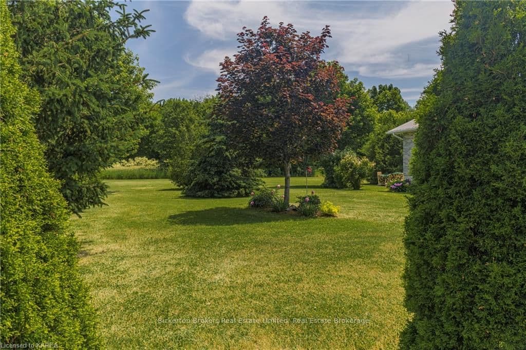 298 CENTENNIAL Road photo 9