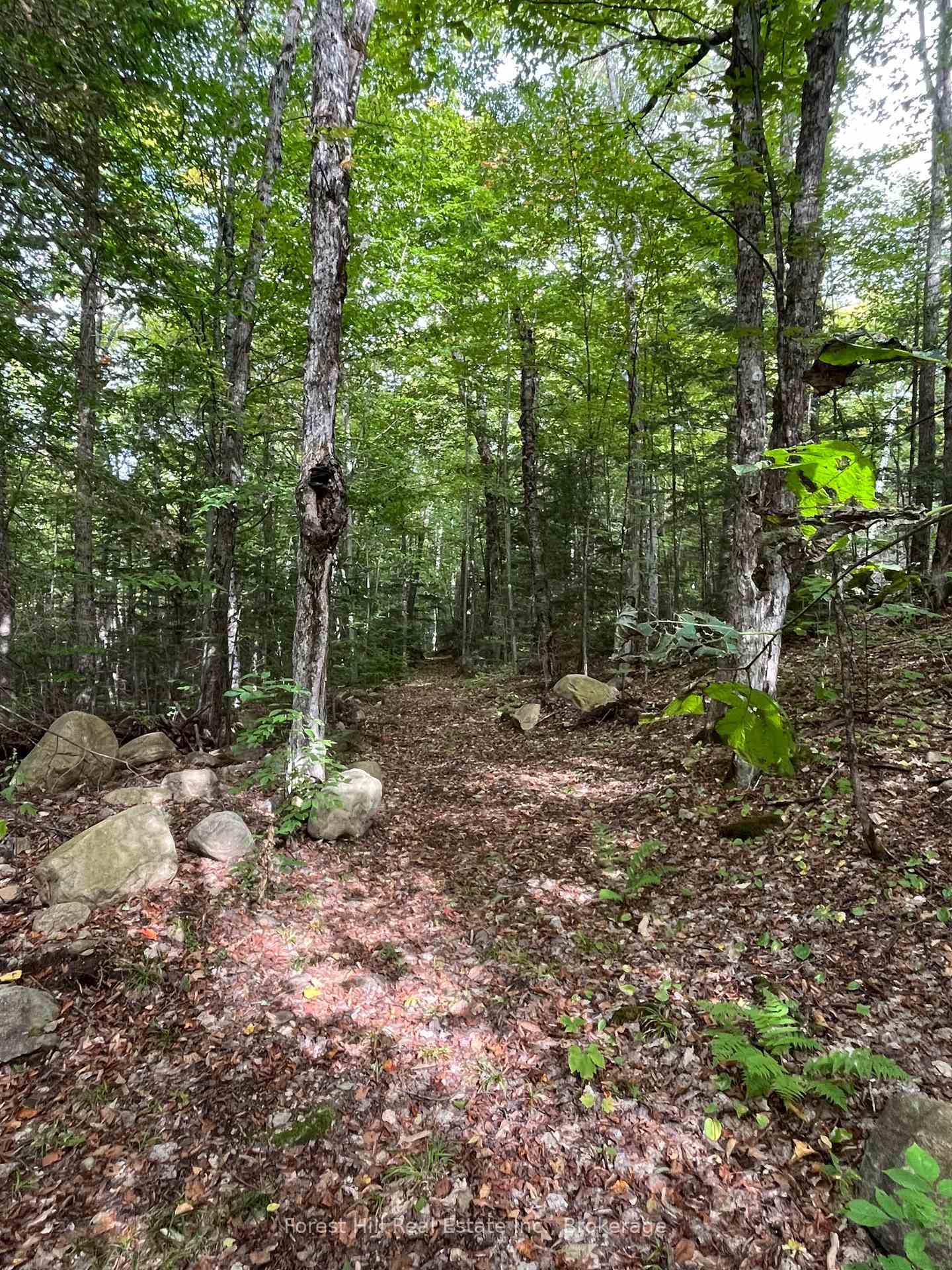 4488 Kawagama Lake Road photo 13