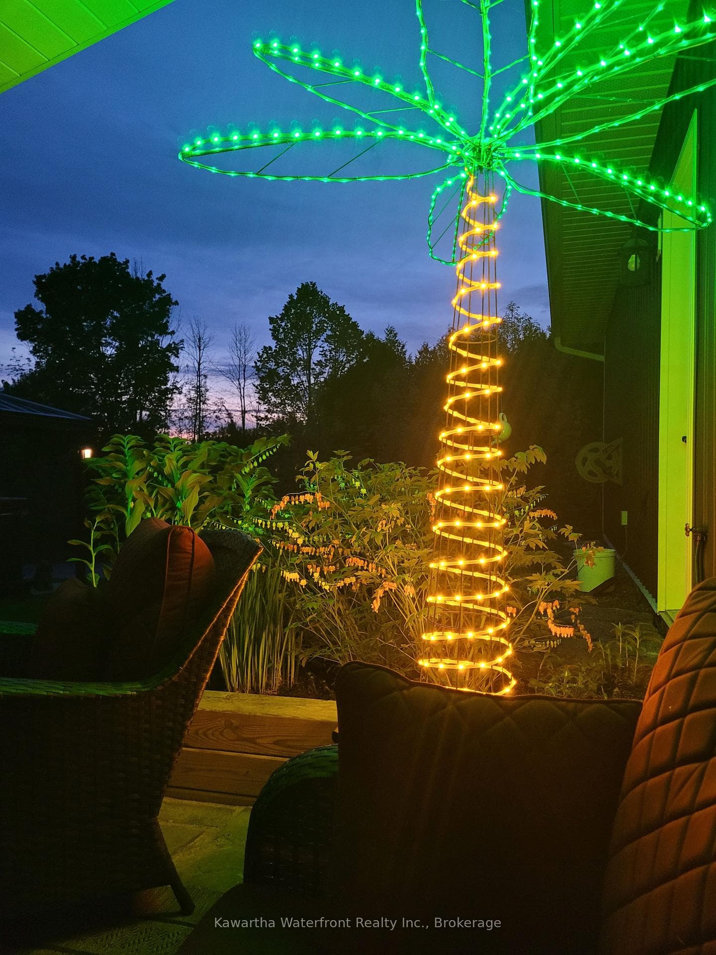 Back yard