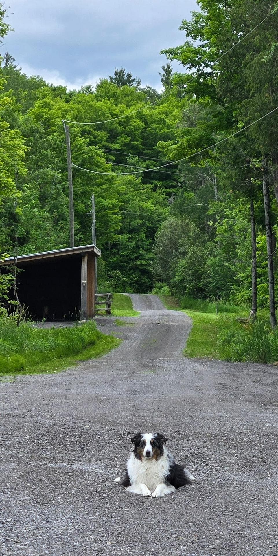 466 Stewartville Road photo 41