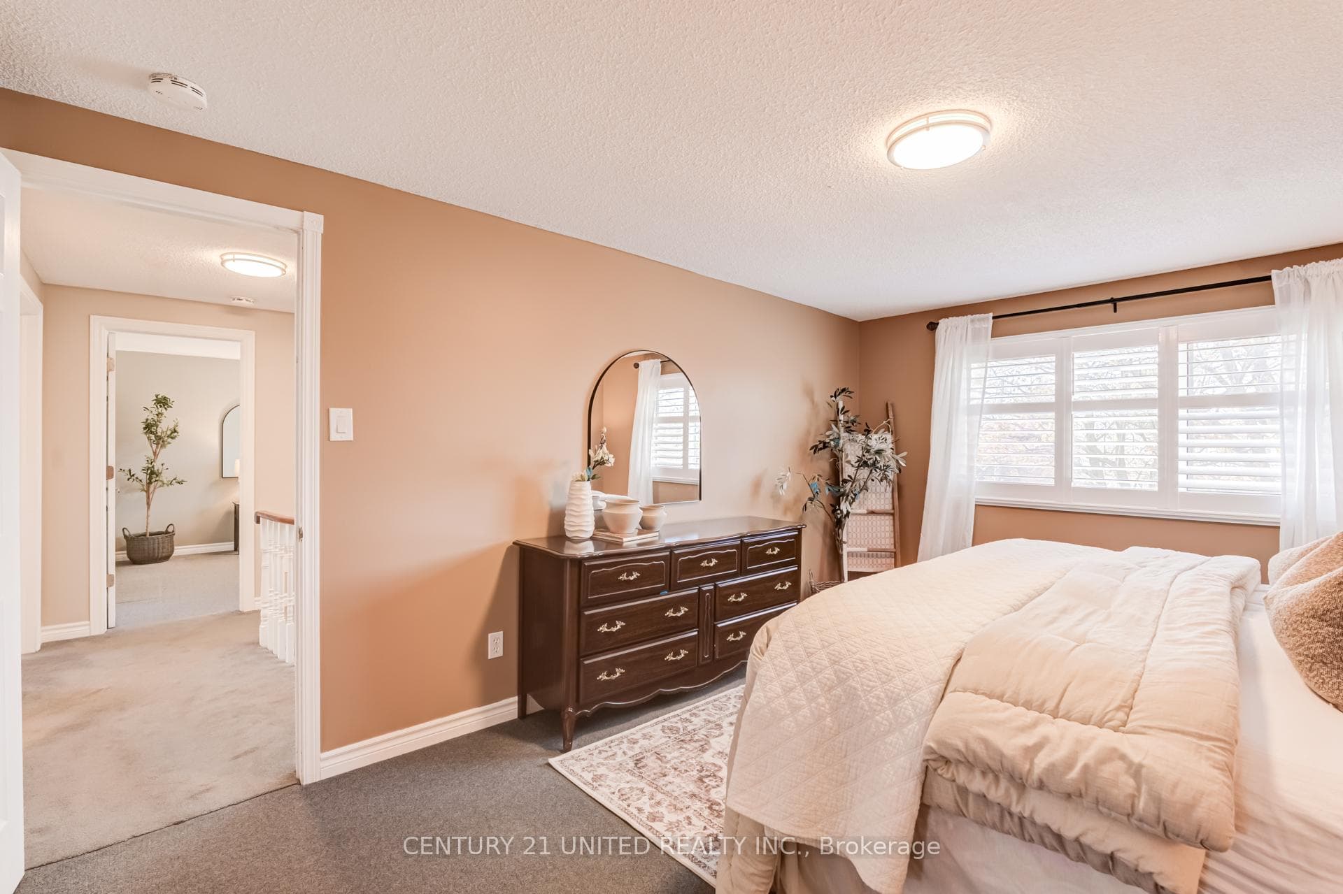 17 Nelson Street photo 33