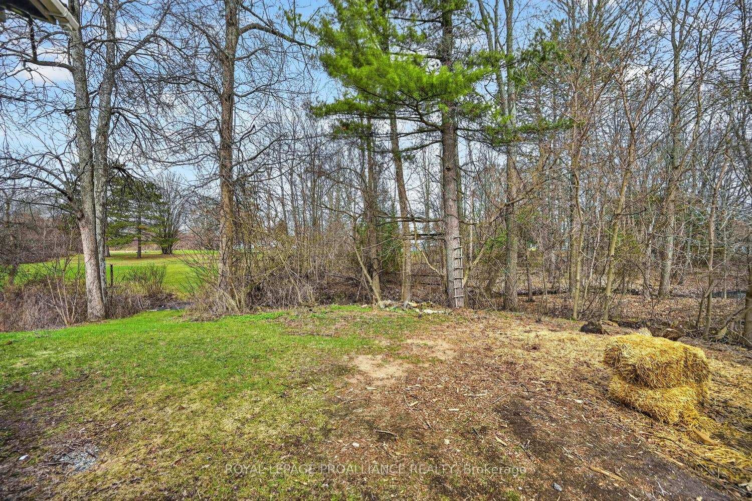 8100 Amelia Street photo 33