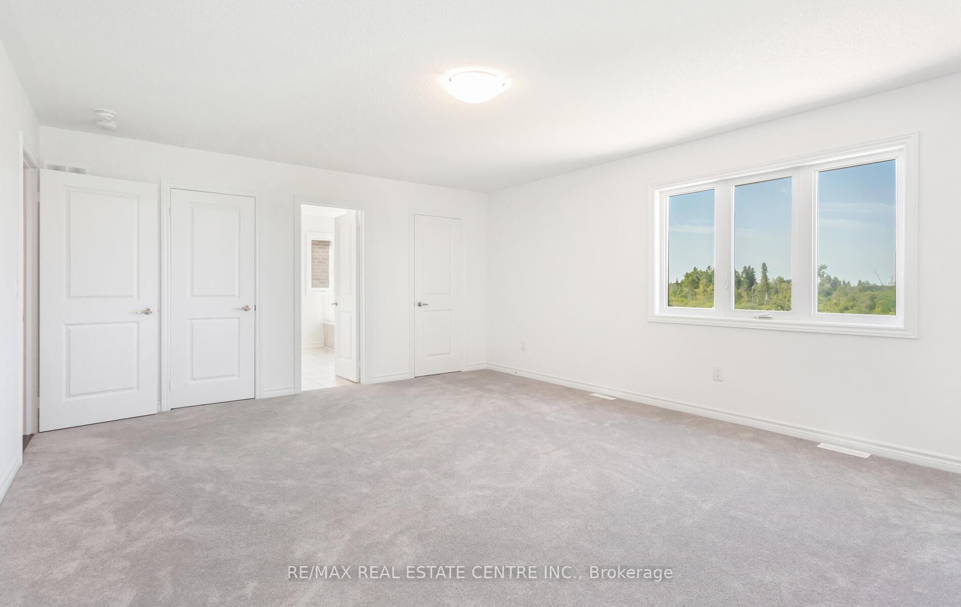 38 Aitchison Avenue photo 20