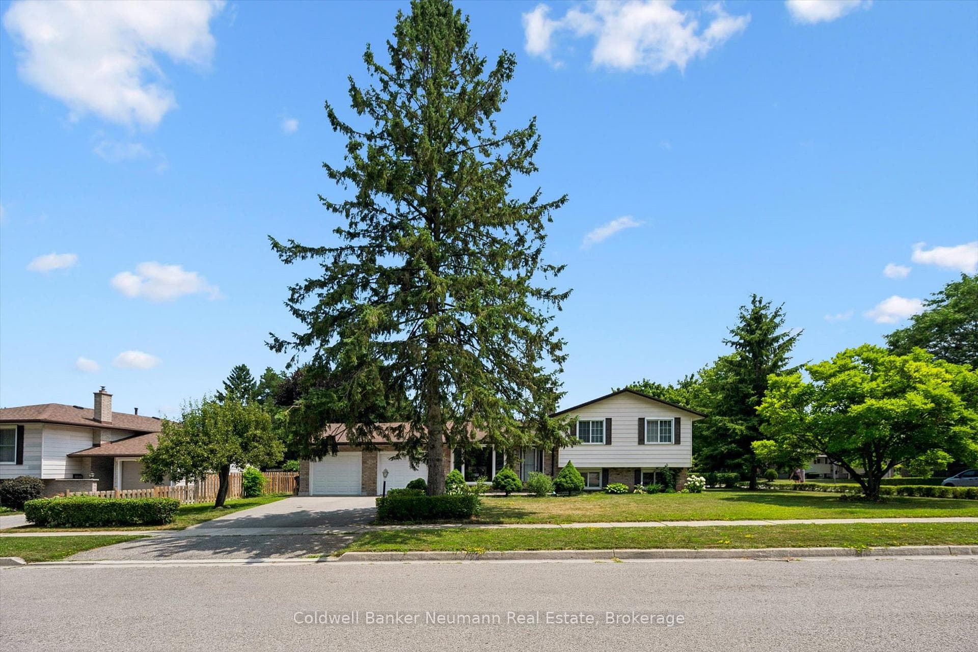 3 Meadow Crescent photo 2