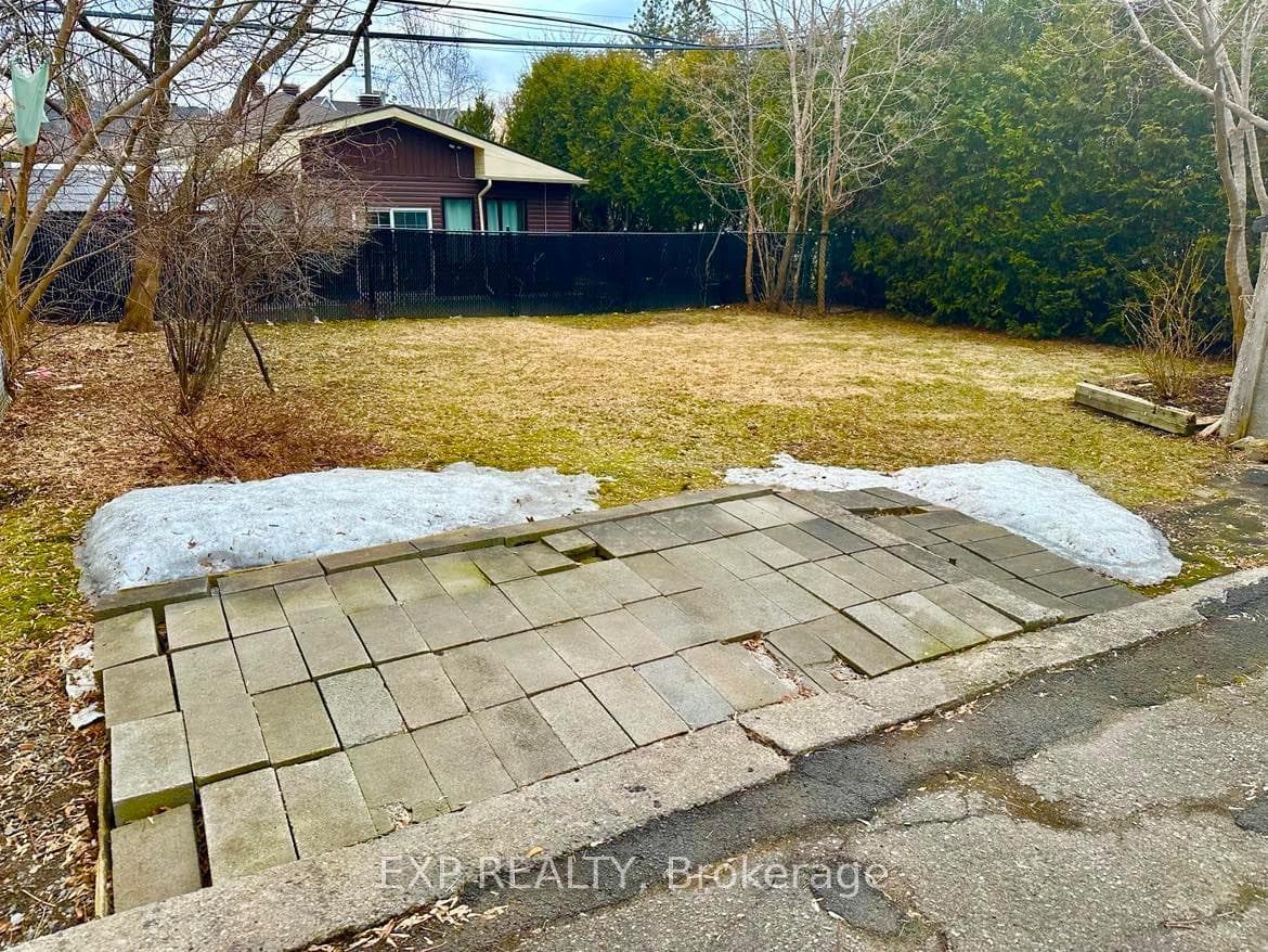 Back yard
