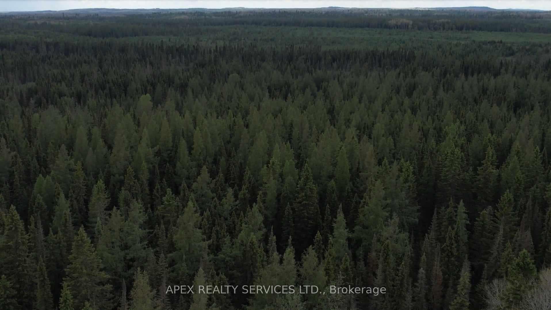 160 Acres Parcel 1222 photo 6
