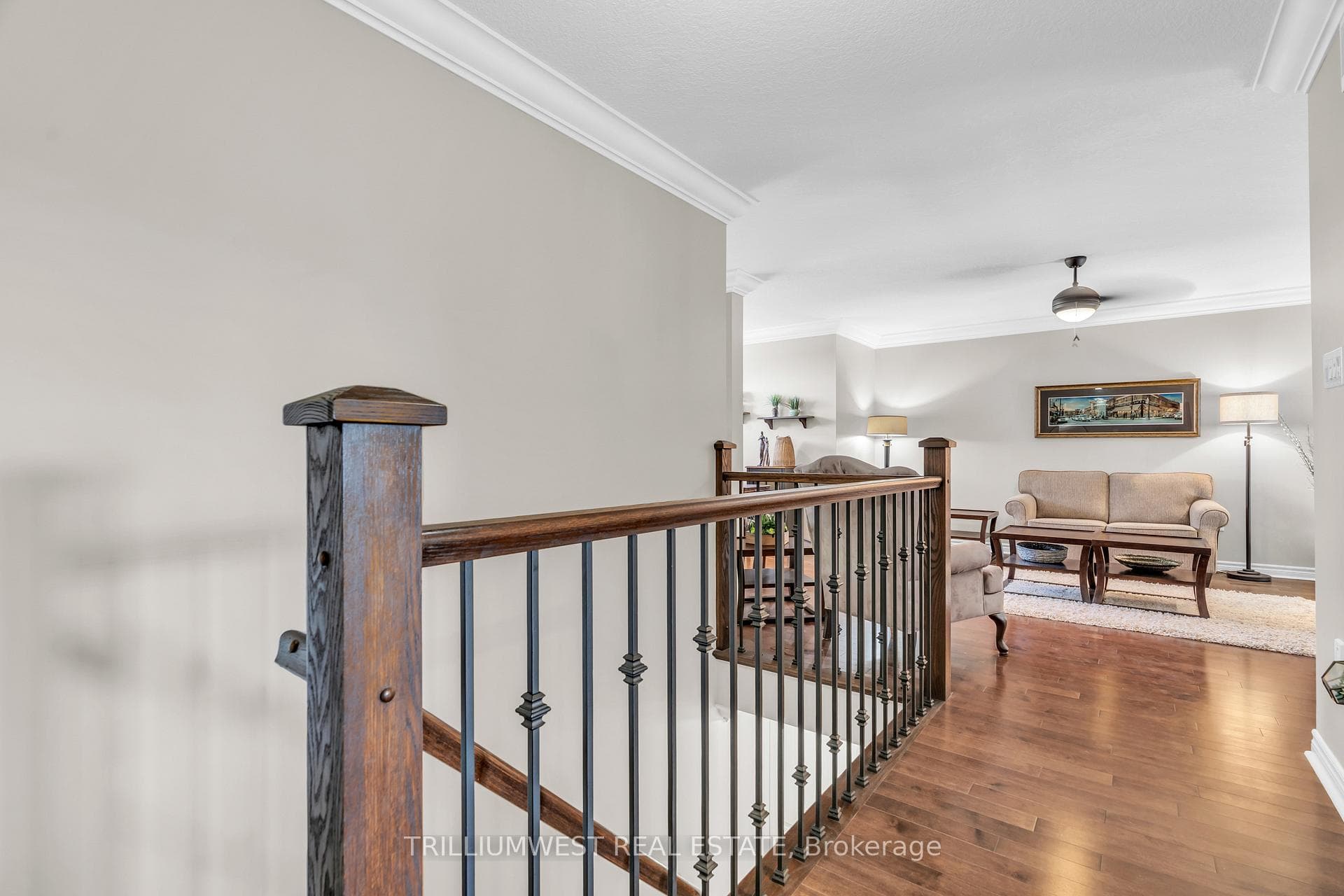 23 Annmoore Crescent photo 18