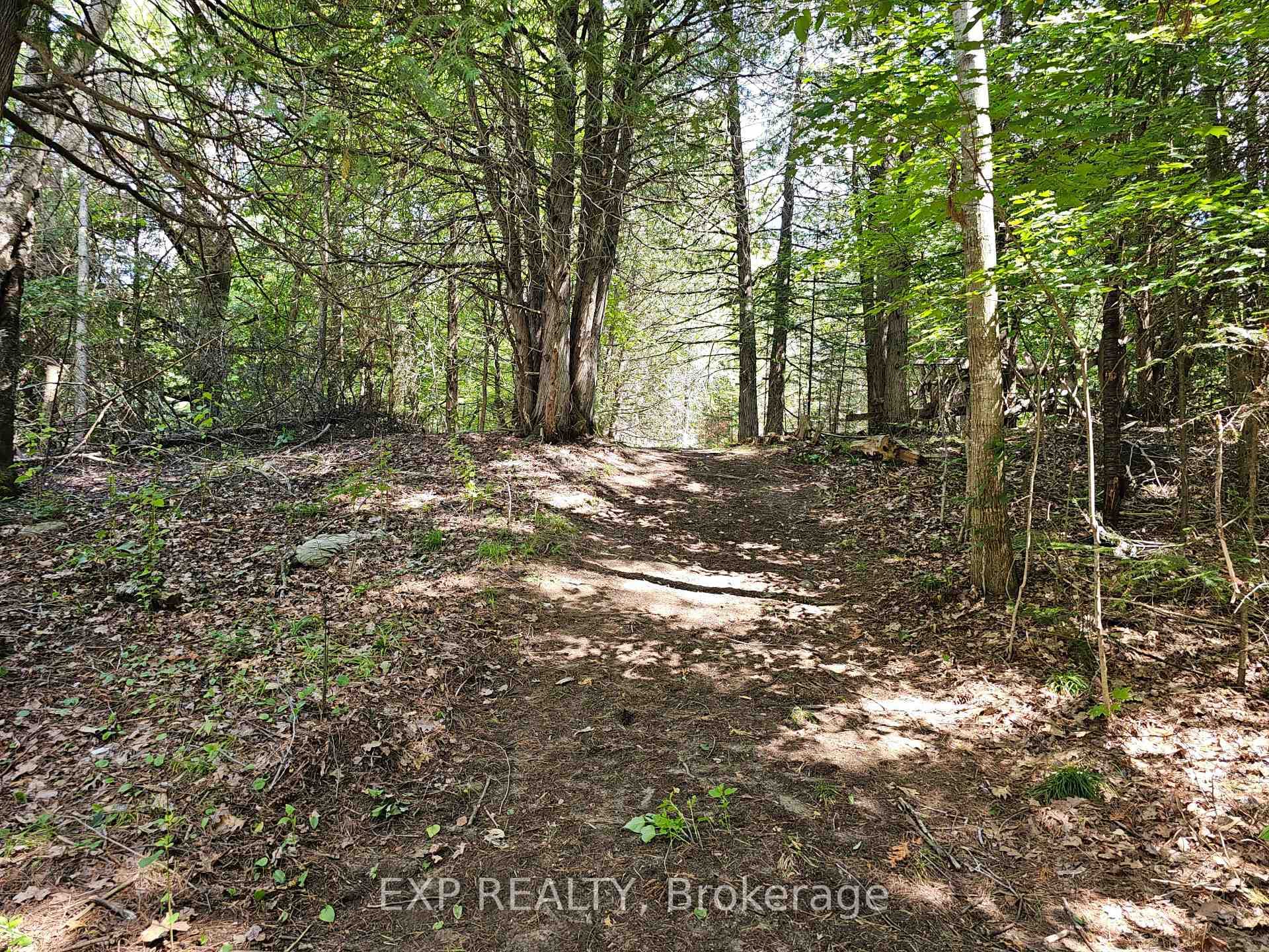 889 A Slate Falls Road photo 2