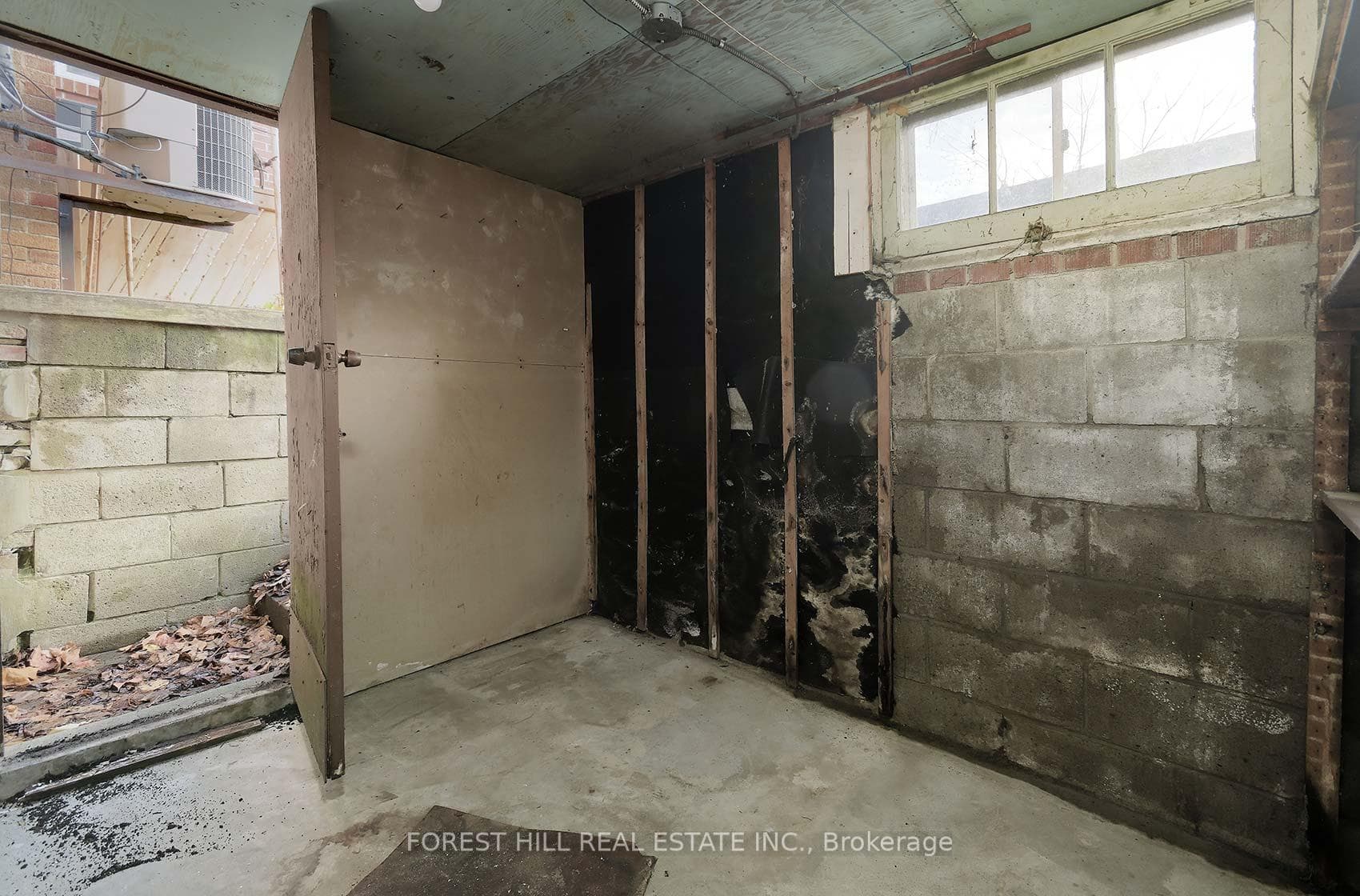 71 Trowell Avenue photo 27
