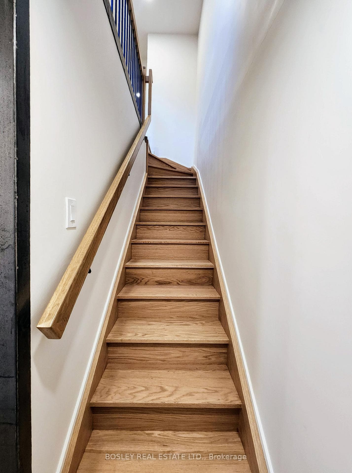 107 Nairn Avenue Unit Laneway photo 15
