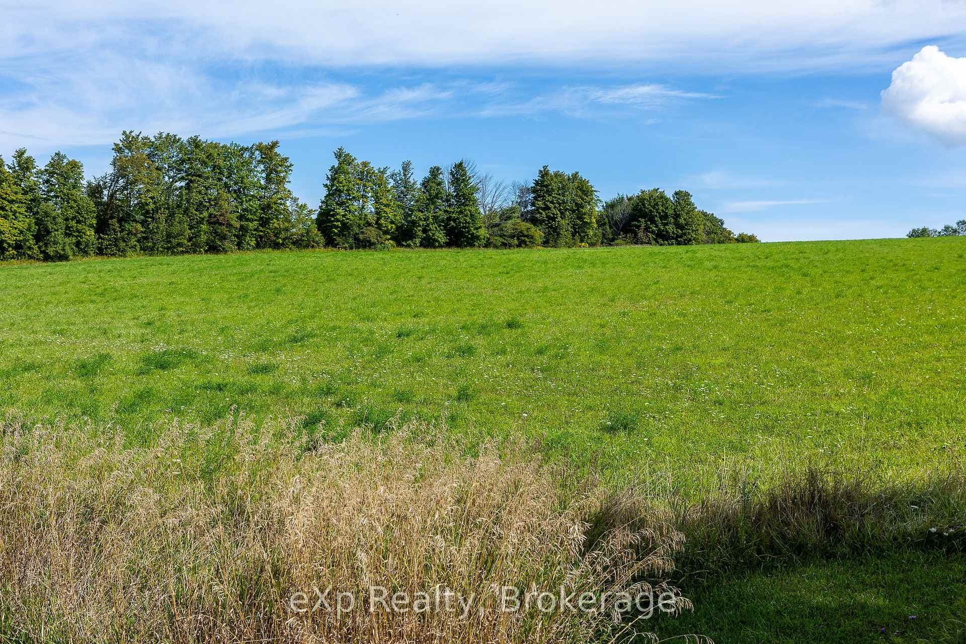 PT LT 1 Euphrasia-St Vincent Townline N/A photo 10