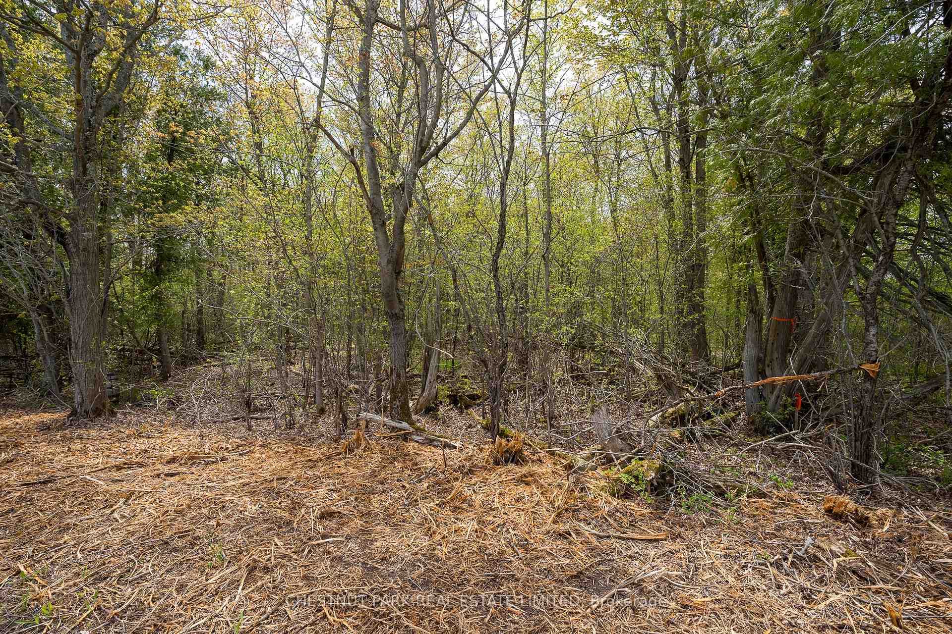 206 Simpson Road photo 21
