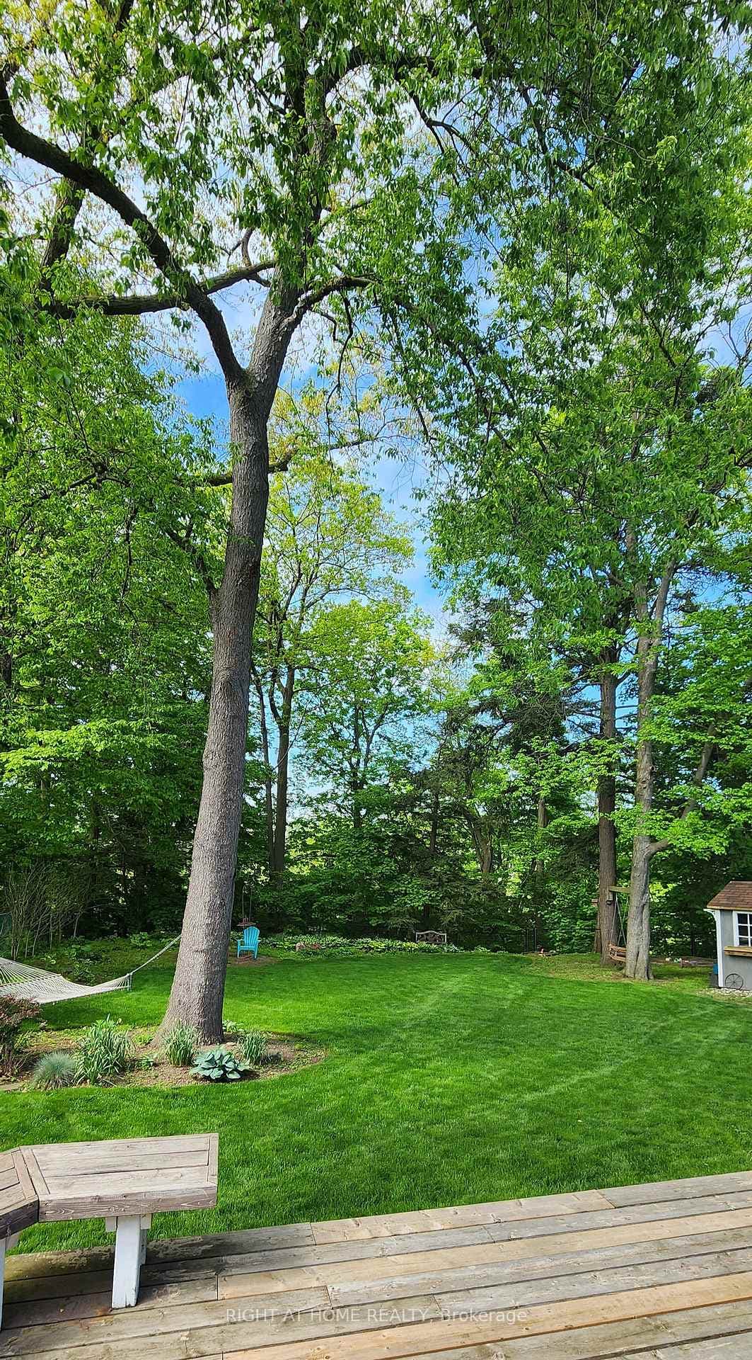 387 River Side Drive photo 3