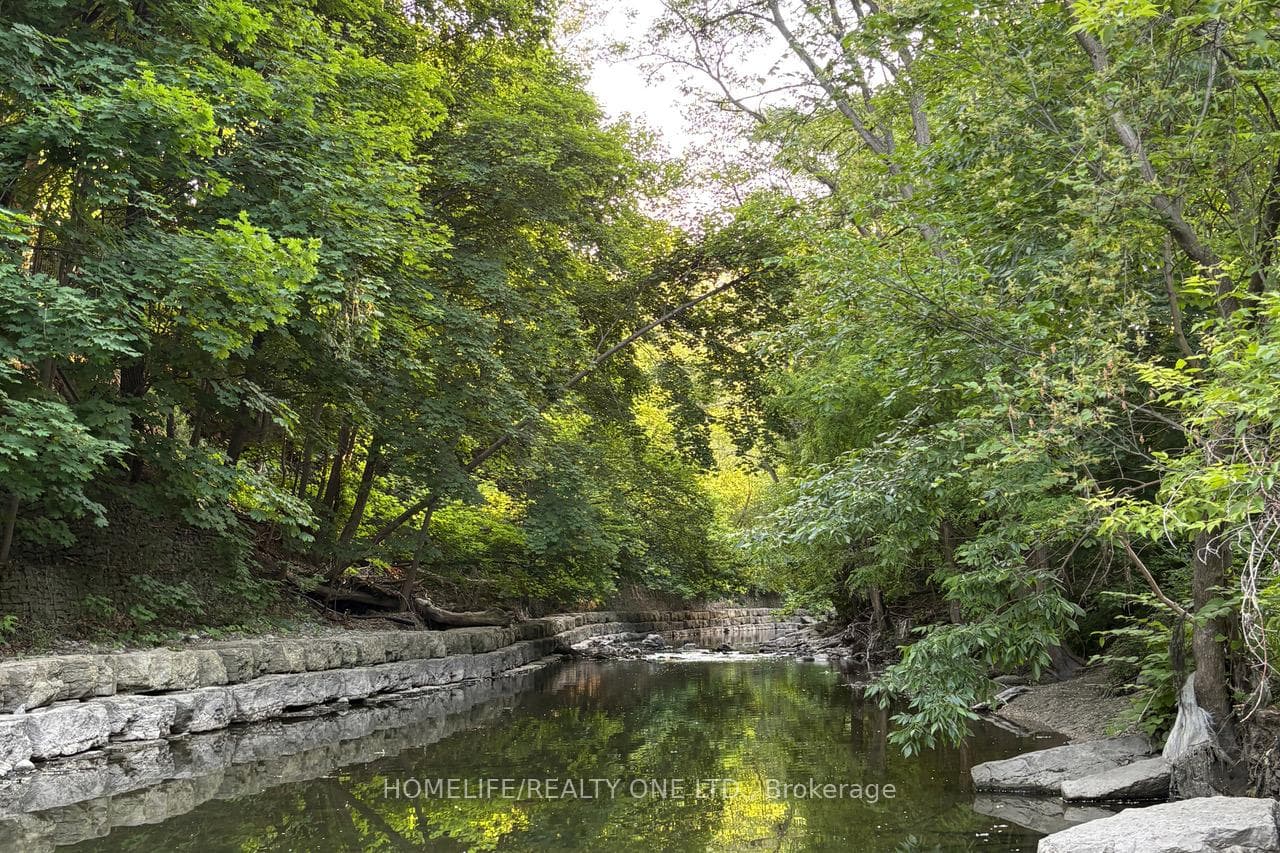 247 Berry Road photo 4