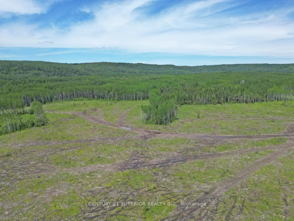 Part 3 Larson Road photo 5