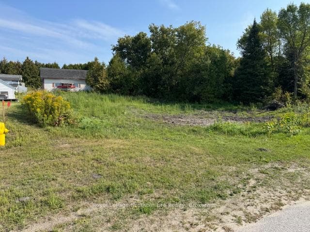 57 Bain Avenue photo 5