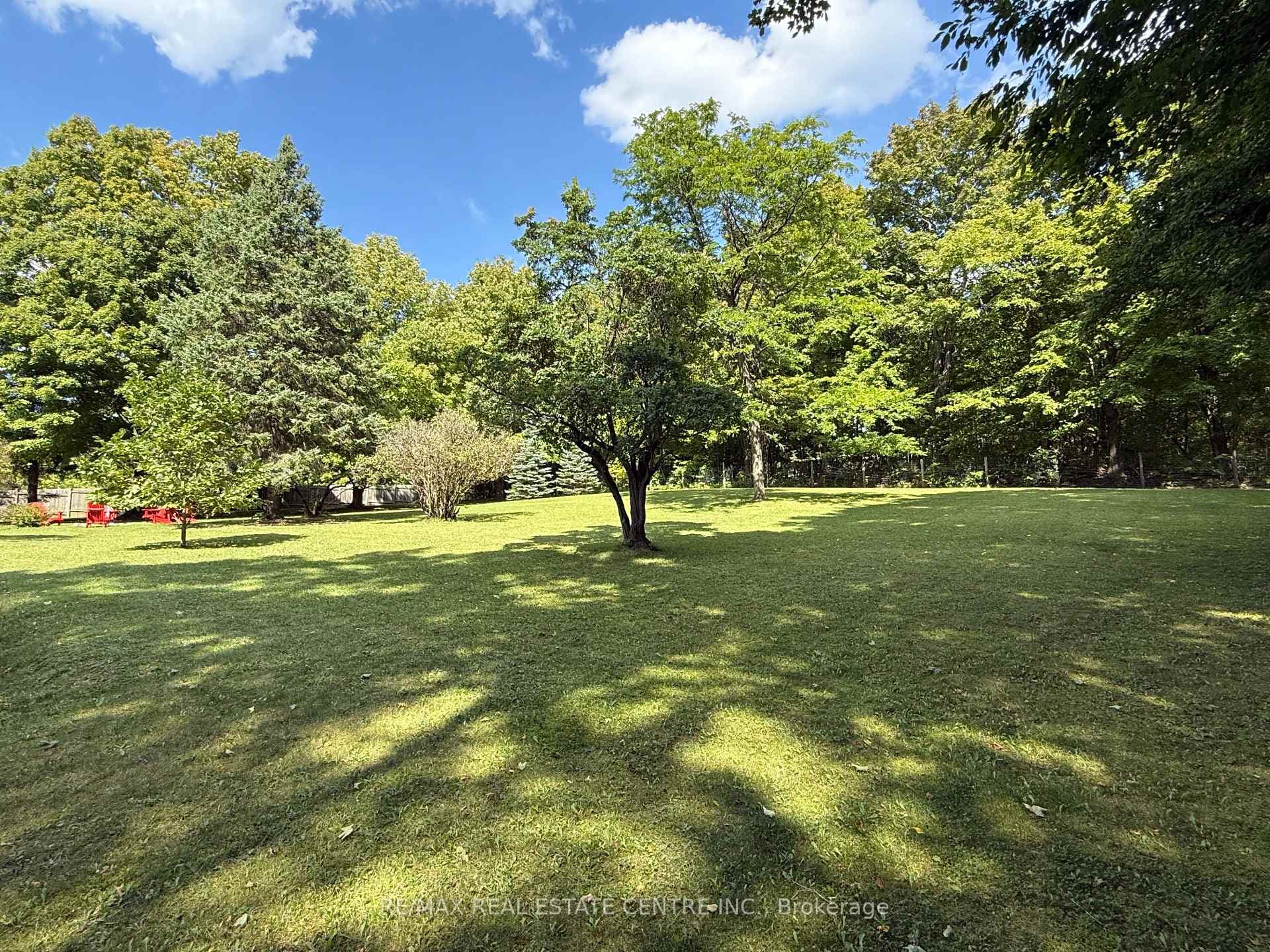161 Inkerman Street photo 8