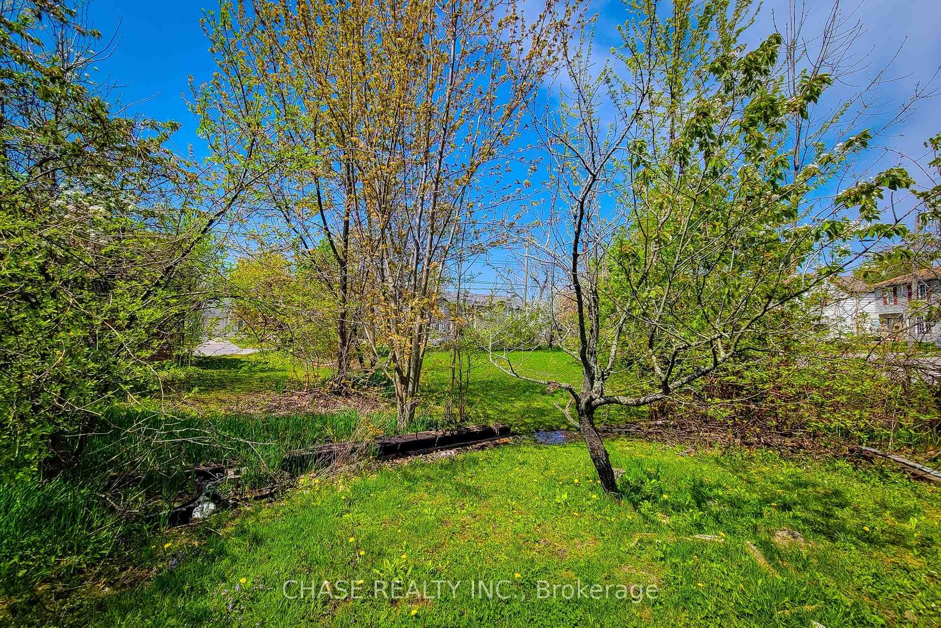 81 Saint George Street photo 15