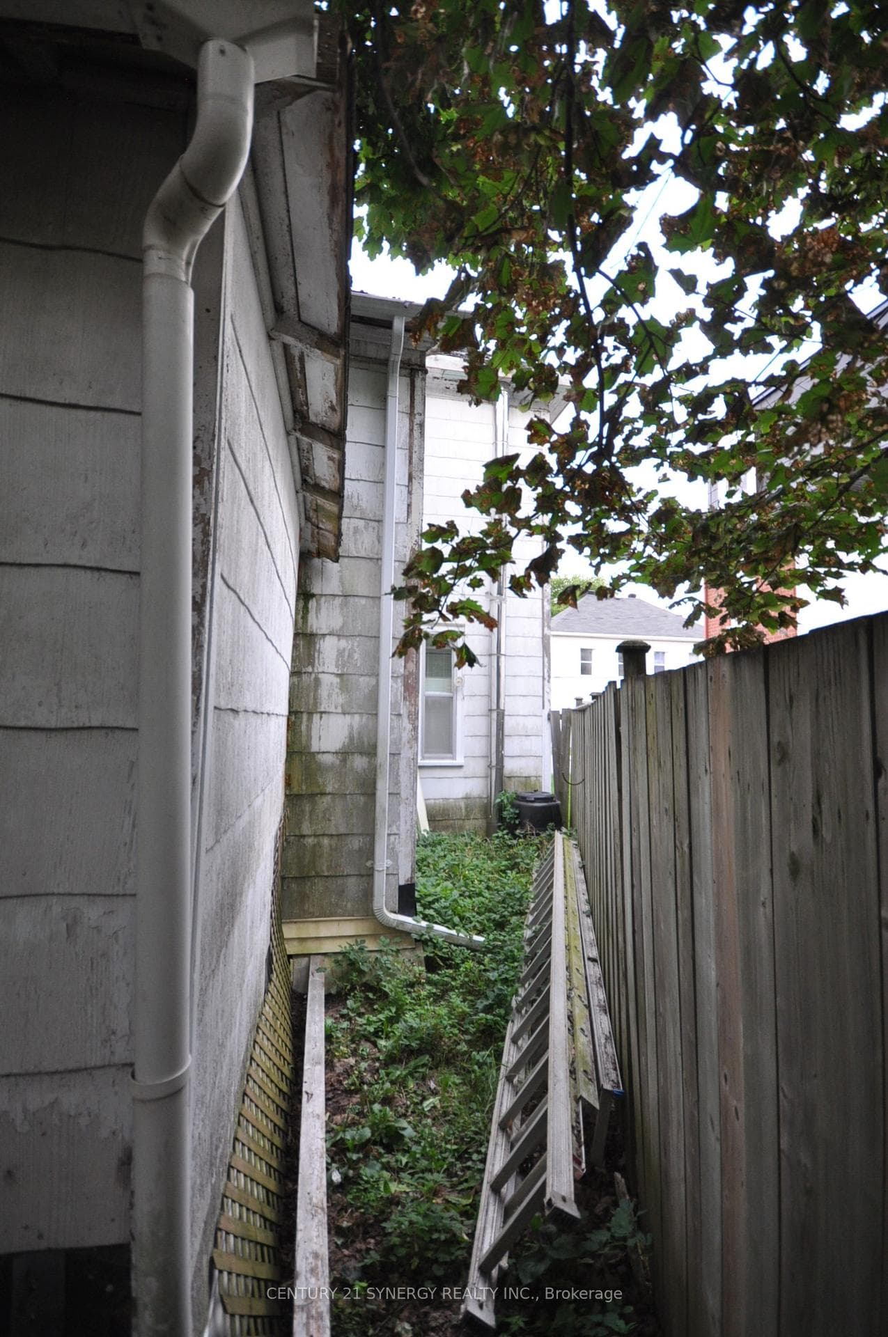155 Beckwith Street photo 30