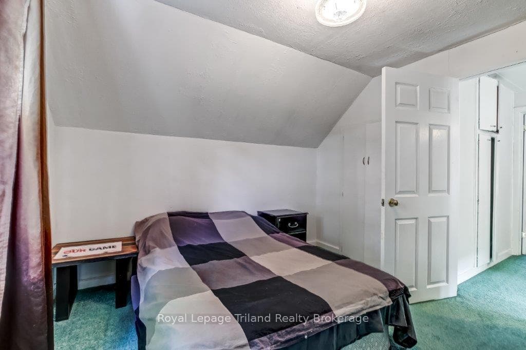 217 Sydenham Street photo 15