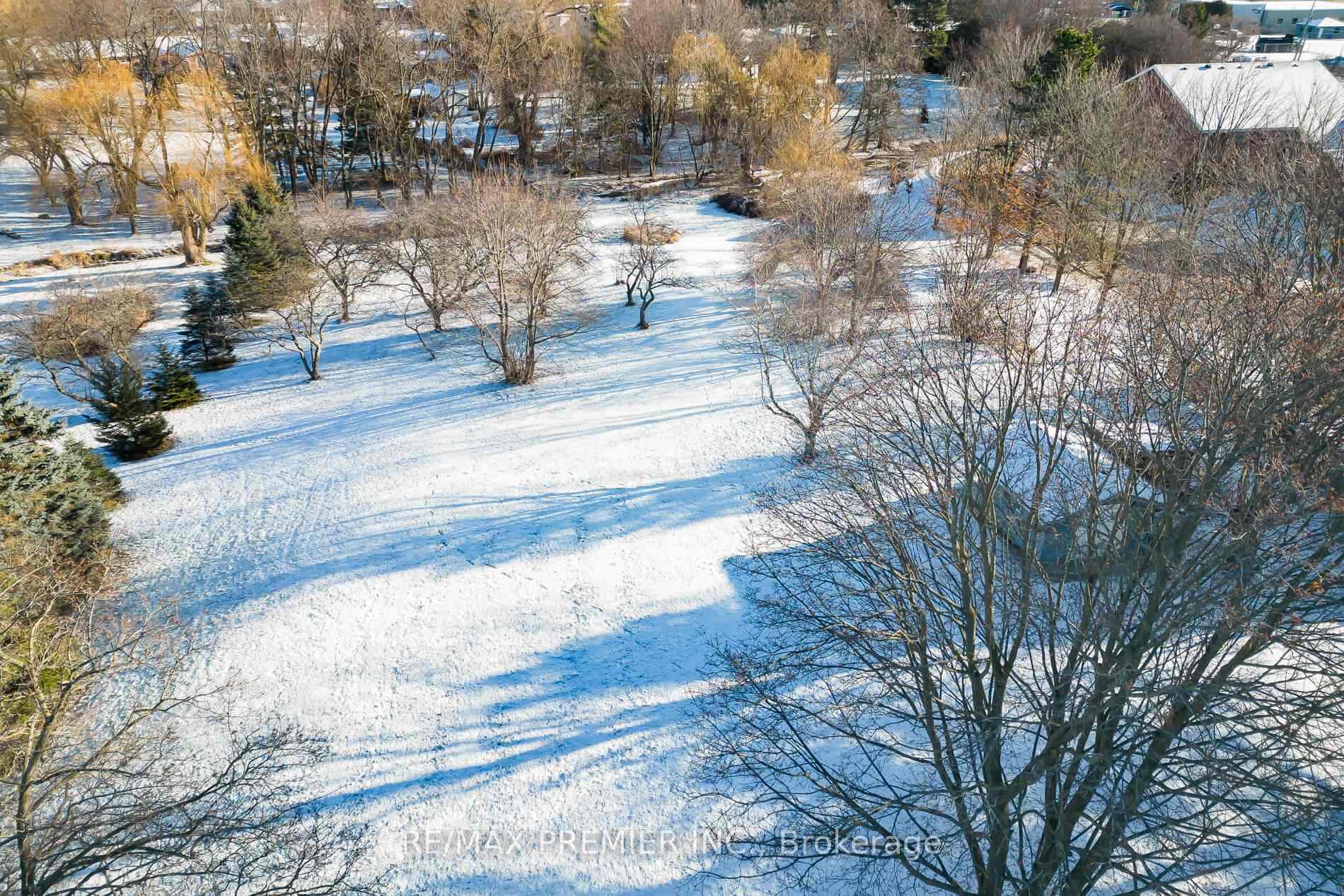 17 Wellar Avenue photo 31