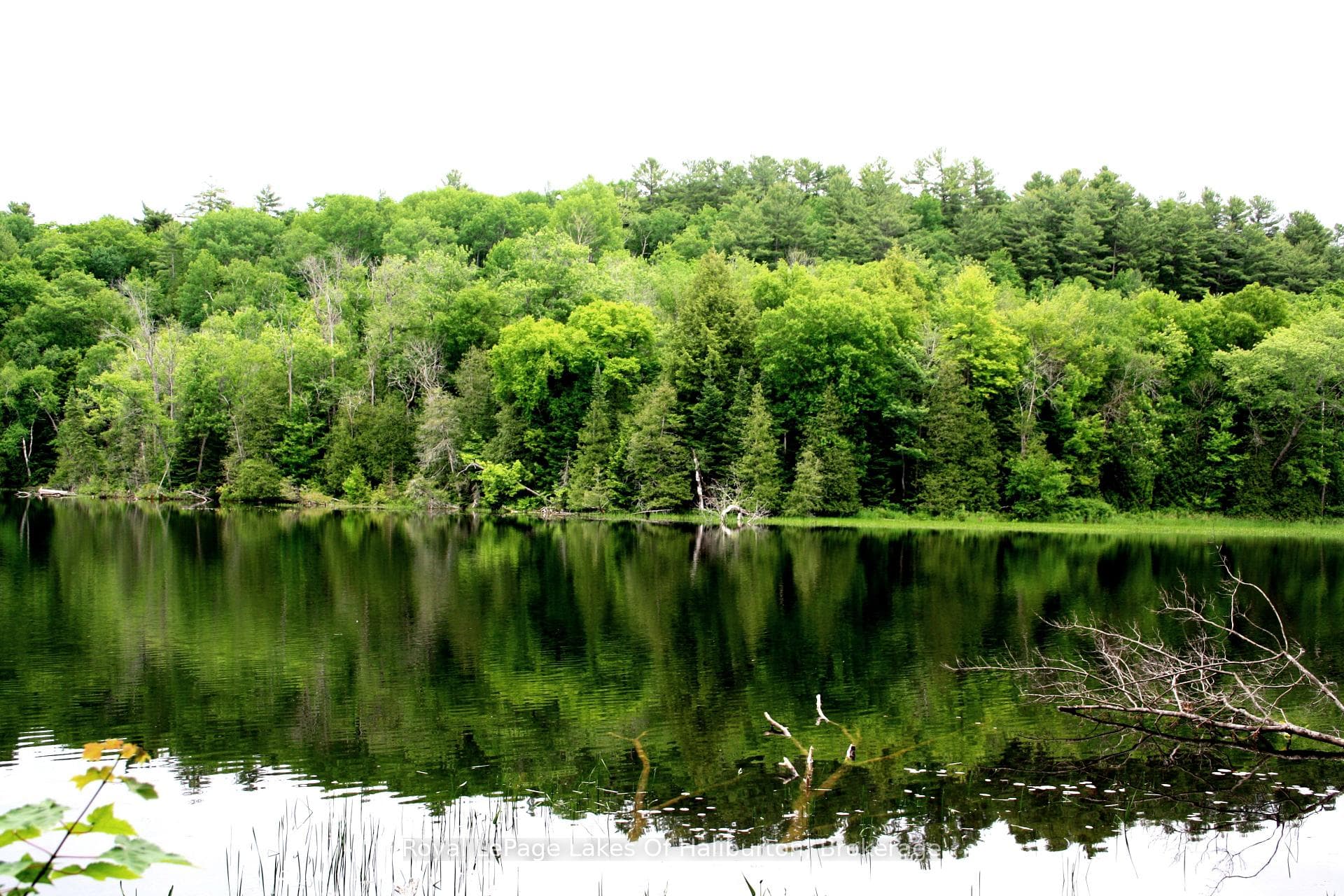 0 SOUTH BEAVER LAKE Lane photo 7